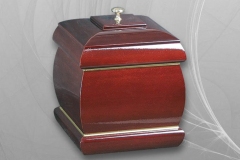 Urna1
